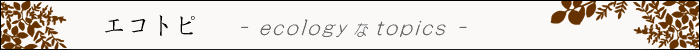 ちょっとインテリア【エコトピ - ecology な topics -】