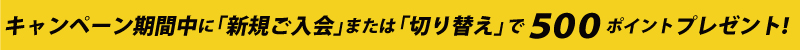 キャンペーン期間中に新規ご入会または切り替えで500ポイントプレゼント！