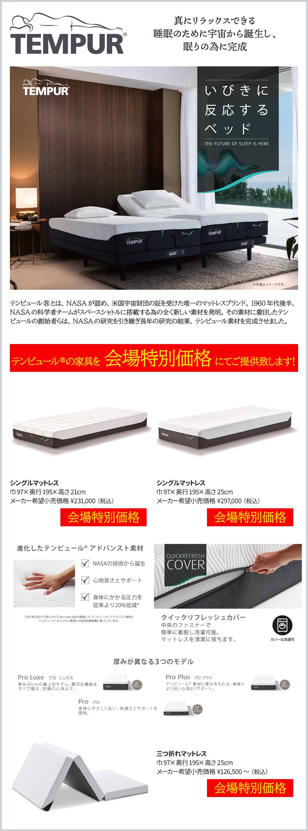 テンピュール