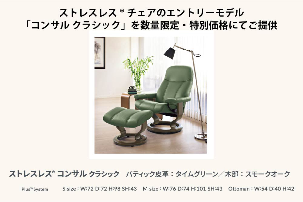 キャンペーン特別価格！