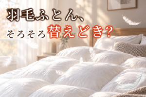 期間中、フランスベッドの羽毛ふとんをご購入の方に、専用掛けふとんカバーをプレゼント！